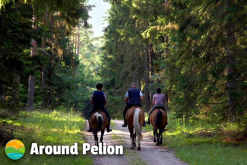 Horse Riding in Pelion