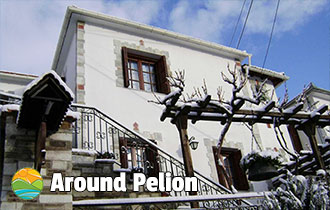 Dryadoubana Villa - Portaria Pelion