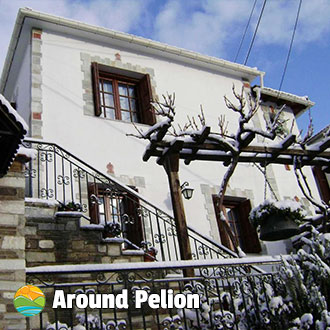 Dryadoubana Villa - Portaria Pelion