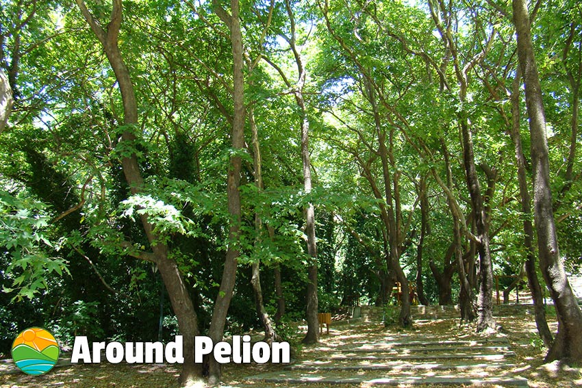 Alli Meria Pelion