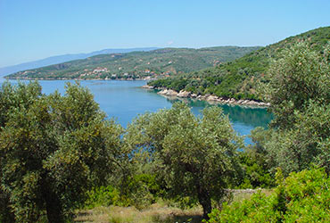 Horto Pelion