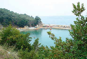 Kamari Pelion