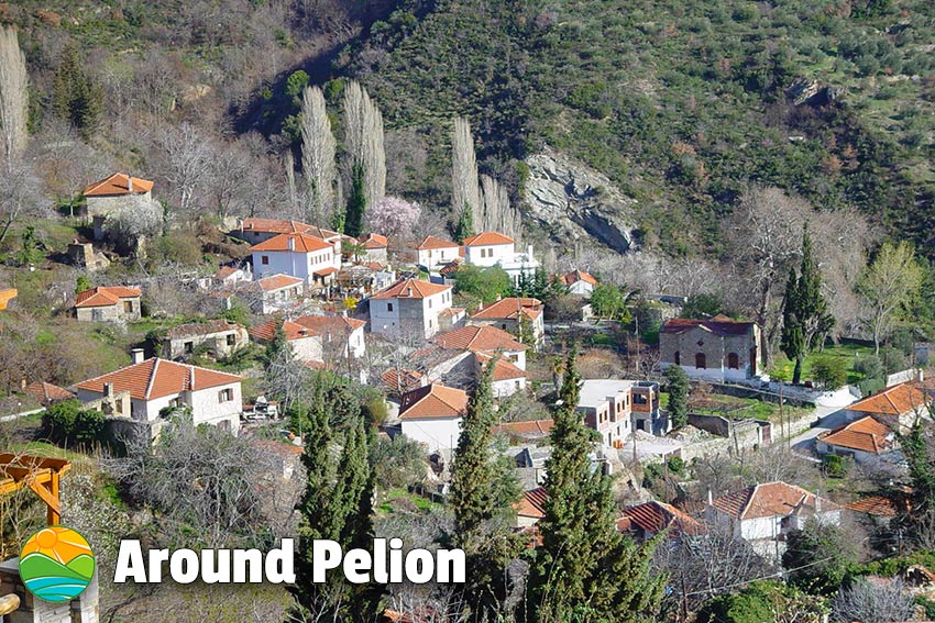 Katohori Pelion