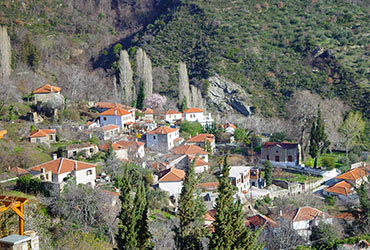 Katohori Pelion