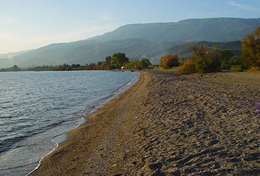 Koropi Pelion