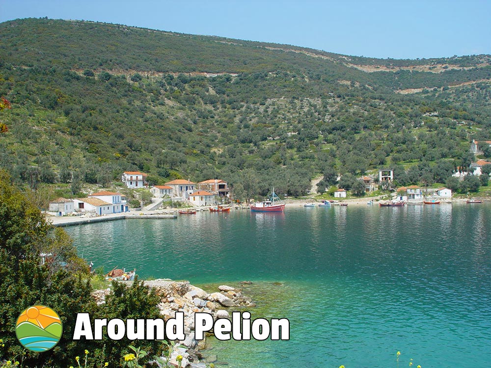 Kottes Pelion
