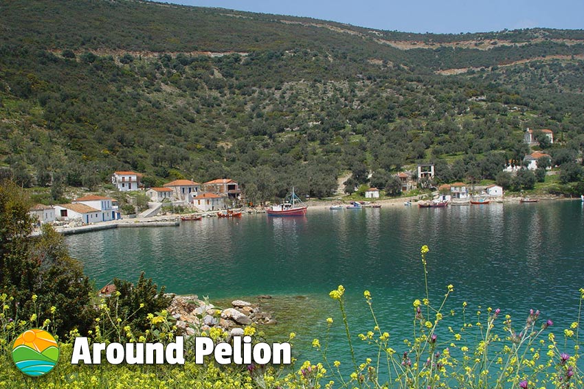 Kottes Pelion
