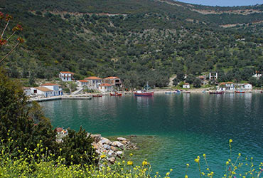 Kottes Pelion