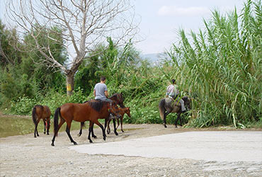 Lehonia Kato Pelion