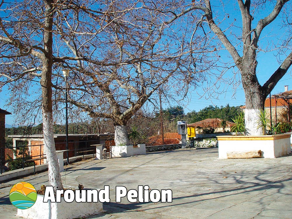 Metohi Pelion