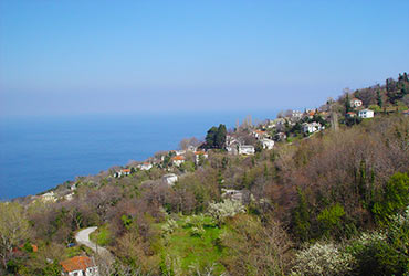 Mouresi Pelion