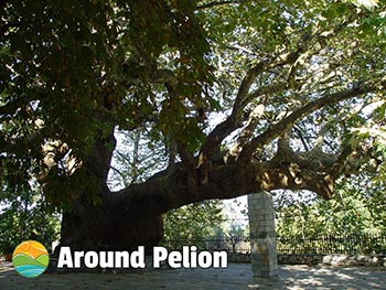 Tsagarada Pelion