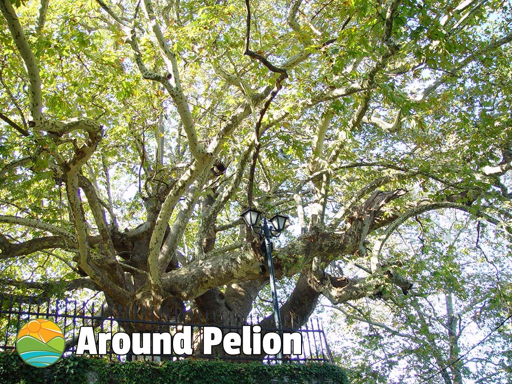 Tsagarada Pelion