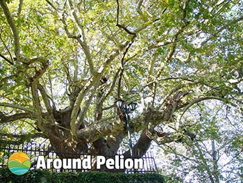 Tsagarada Pelion
